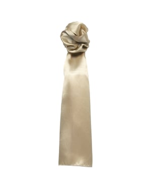 Premier Sjaal - Dames/vrouwen Gewone Zakelijke Sjaal (Khaki)