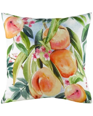 Evans Lichfield Fruit Peach Watercolour Cushion Cover