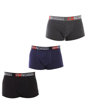 Pack-3 Boxers Geographical Norway man