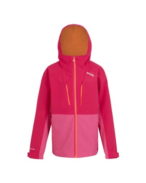 Regatta Kinder/Kids Highton V Full Zip Hoodie (Roze toverdrank/Flamingo Roze)