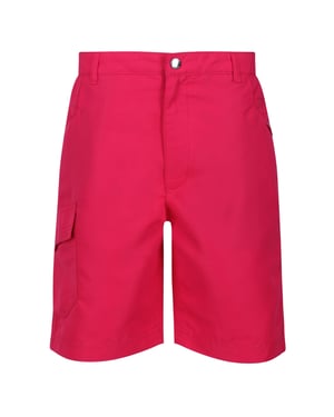 Regatta Kinderen/Kinderen Sorcer II Shorts (Roze drankje)