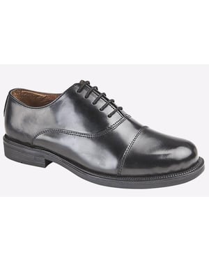 Scimitar Royale Oxford Mens