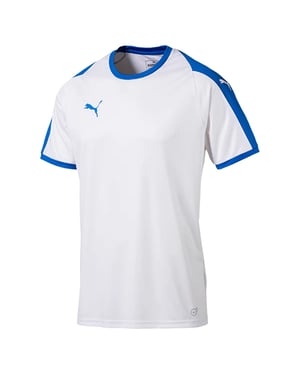 Puma Liga Jersey Tränings T-shirt Kortärmad Crew Neck Blå Herr Topp 703417 12