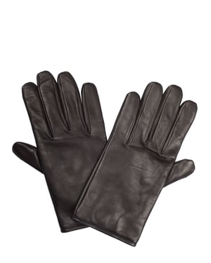 Pal Zileri-handschoen