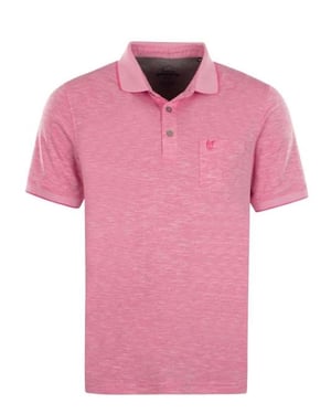 hajo polo
