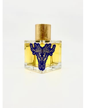 Kocha Nights 100ml EDP