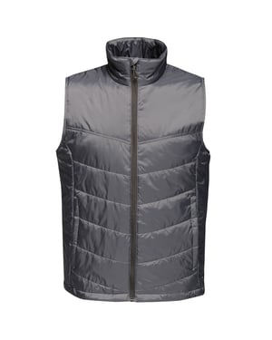 Regatta Heren Fase II Geïsoleerde Bodywarmer (Afdichting Grijs)