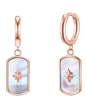 Valero Pearls Female Stainless steel Earring