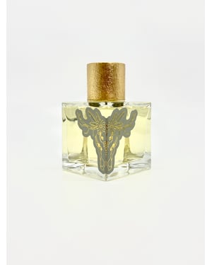 North to Poltava 100ml EDP
