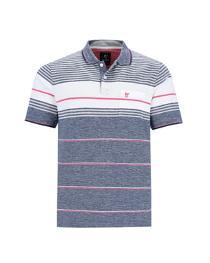 hajo polo