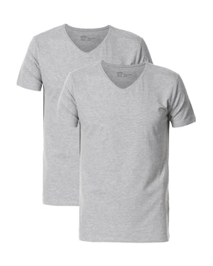 Petrol Industries - Heren 2-pack Basic T-shirts V-Hals  - Grijs
