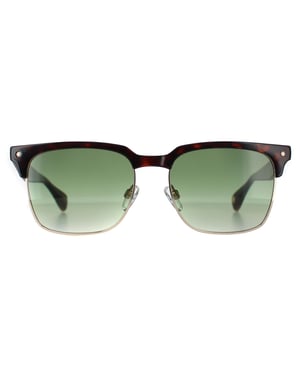 Ted Baker TB1681 Floyd 133 donker demi groen gradiÃ«nt zonnebril