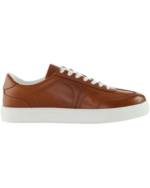 Ted Baker Robertt Mens Brown Trainers
