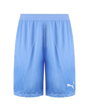 Puma DryCell TeamFinal 21 Stretch Taille Heren Lichtblauw Korte Broek 704257 18