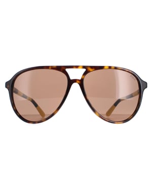 Polo Ralph Lauren Aviator Heren Glimmend Donker Havana Bruin Zonnebril