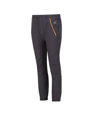 Regatta Kinderen/Kids Tech Bergwandelbroek (Seal grijs/pricot crush)
