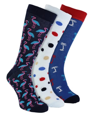 HS by Happy Socks - Heren 3-pack Noviteit Zomer Vibes Dress Socks - Palm Bomen