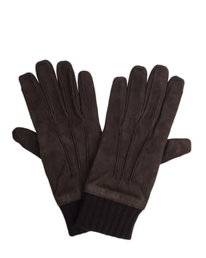 Pal Zileri-handschoen