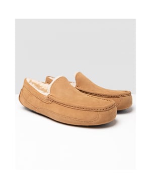 UGG Ascot Mens Slipper