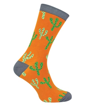 Mens Cactus Socks | Mr Heron | Novelty Colourful Funny Plant Printed Bamboo Socks | Fancy Christmas Gift for Him - Cacti (Mustard)