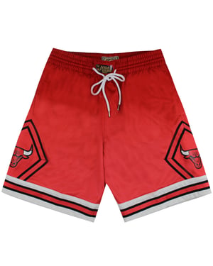 Mitchell & Ness Chicago Bulls Heren Rode Shorts