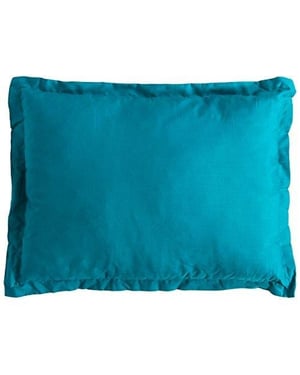 Trespass Snoozefest Travel Pillow (Bluebottle)