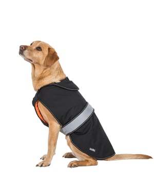 Trespass Butch Softshell hundjacka med tryckknäppning (svart)