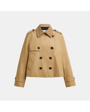 Short Trench with Signature Collar