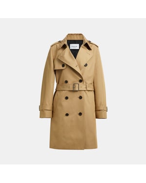 Mid Trench with Sig Collar