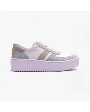 DAZZLING Ladies Suede Trainers Multicoloured