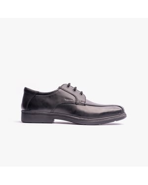 FEDERICO H Boys Leather School Shoes Black