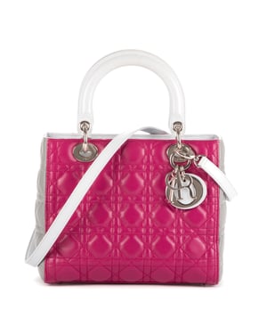Medium Lady Dior Zip PM Handtas