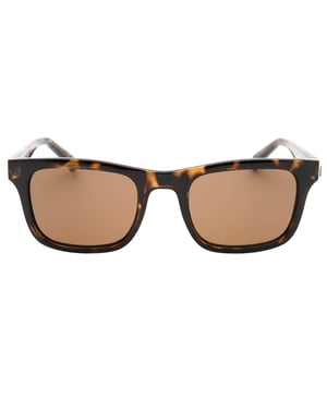 Calvin Klein Brown Lens Tortoise Brown Sunglasses