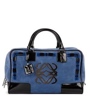Ltd. Ed. Amazona Boston 36 Travel Bag