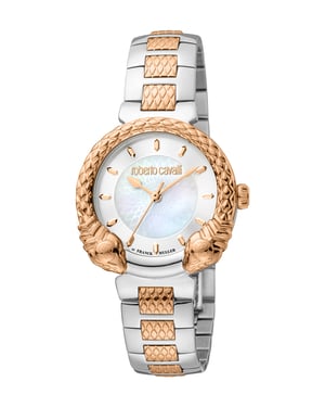 Two Tone Stainless Steel Watch