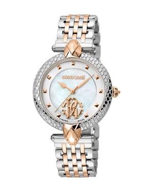 Two Tone Stainless Steel Watch