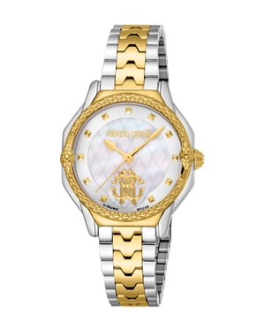 Two Tone Stainless Steel Watch