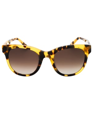 Banana Republic Brown SF Lens Havana Brown Sunglasses