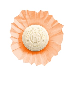 Œillet Mignardise Wellness Zeep 100 gr