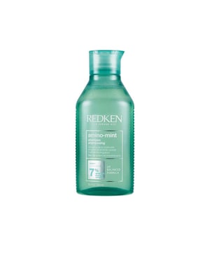 Redken Amino-Mint Shampoo