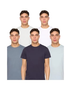 Duck and Cover Heren Demtare Effen T-Shirt (Set van 5) (Veelkleurig)