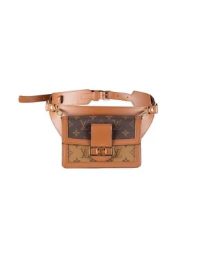 Louis Vuitton Monogram Reverse Canvas Dauphine Bumbag - '10s