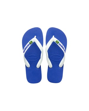 HAV. BRASIL LOGO
