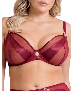 Suspense Plunge Bra