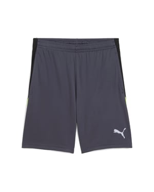 PUMA Mens individualLIGA Training Shorts