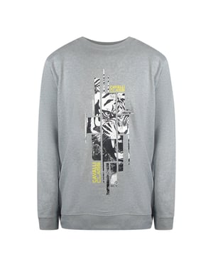 Cavalli Class Splintered Tiger Graphic Grey Sweatshirt