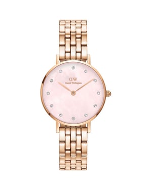 Daniel Wellington DW00100617 Ladies Petite Link Rose Gold 28mm Watch