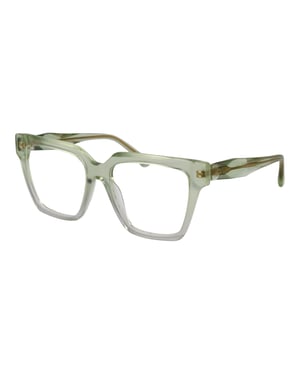 Ana Hickmann Brilmontuur AH6522 C01 55