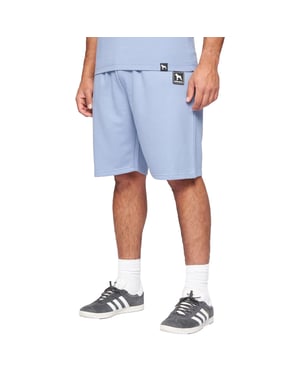 One True Saxon Dexon Mens Blue Shorts