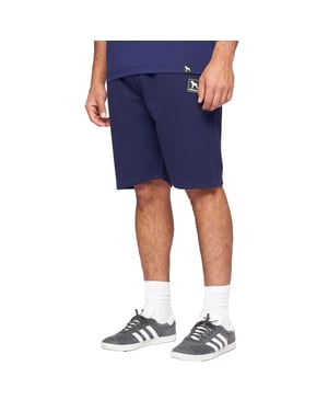 One True Saxon Dexon Mens Navy Shorts